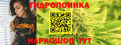 дмт Краснодар